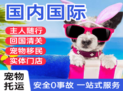 荷花机场邮寄国际宠物托运 【国